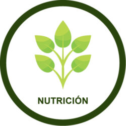 Nutricion